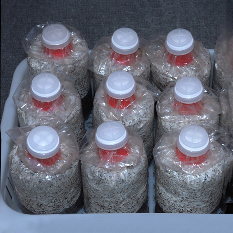 10개 버섯 재배용 백 실러 칼라 커버 밀봉형 커버 바 - Mushroom Spawn Bag 리뷰 및 가격