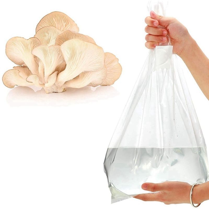 PZHI-100개입 버섯 재배용 비닐 봉투, 두꺼운 6 - Mushroom Spawn Bag 리뷰 및 가격