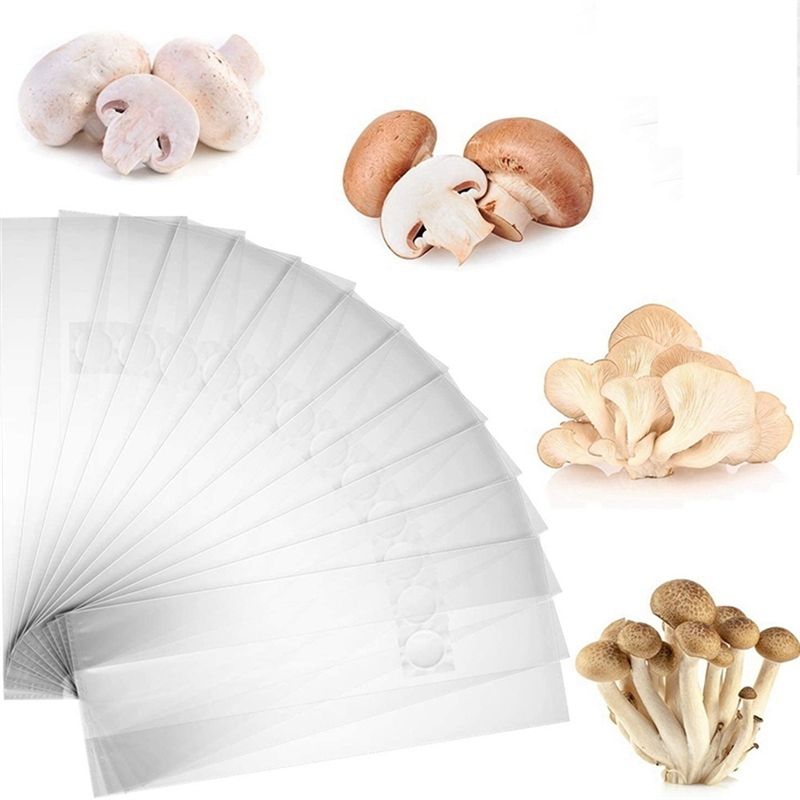 PZHI-100개입 버섯 재배용 비닐 봉투, 두꺼운 6 - Mushroom Spawn Bag 리뷰 및 가격