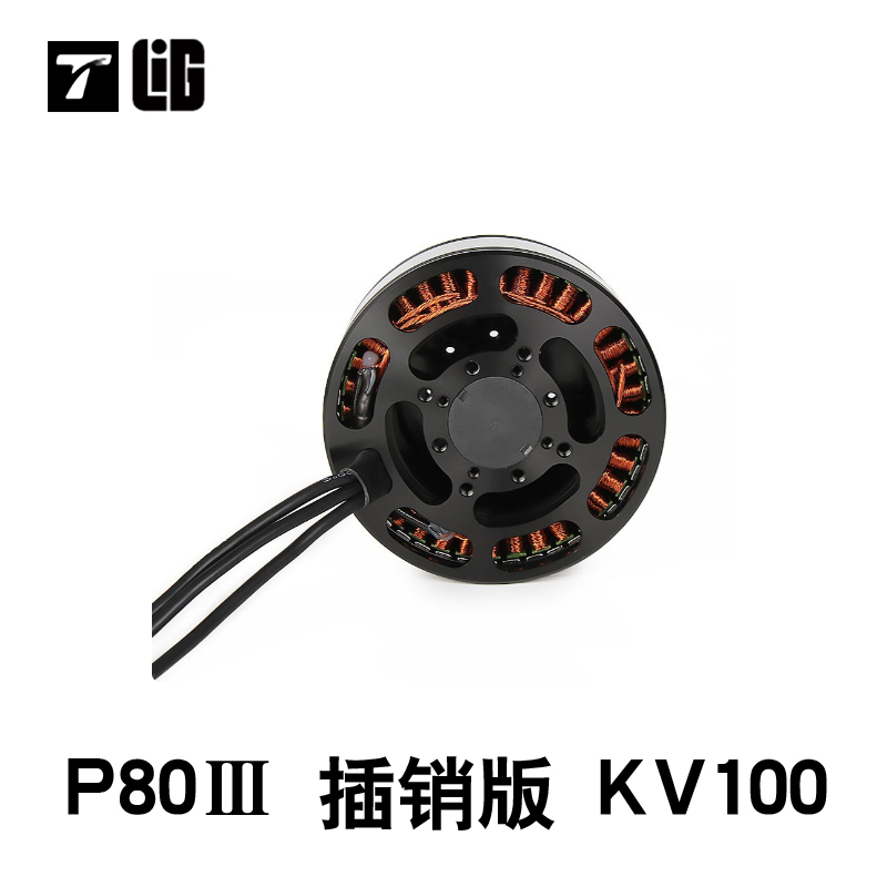 드론 부품 P80III100KV 브러시리스 모터 페이로 - Drone Crop Sprayer 리뷰 및 가격