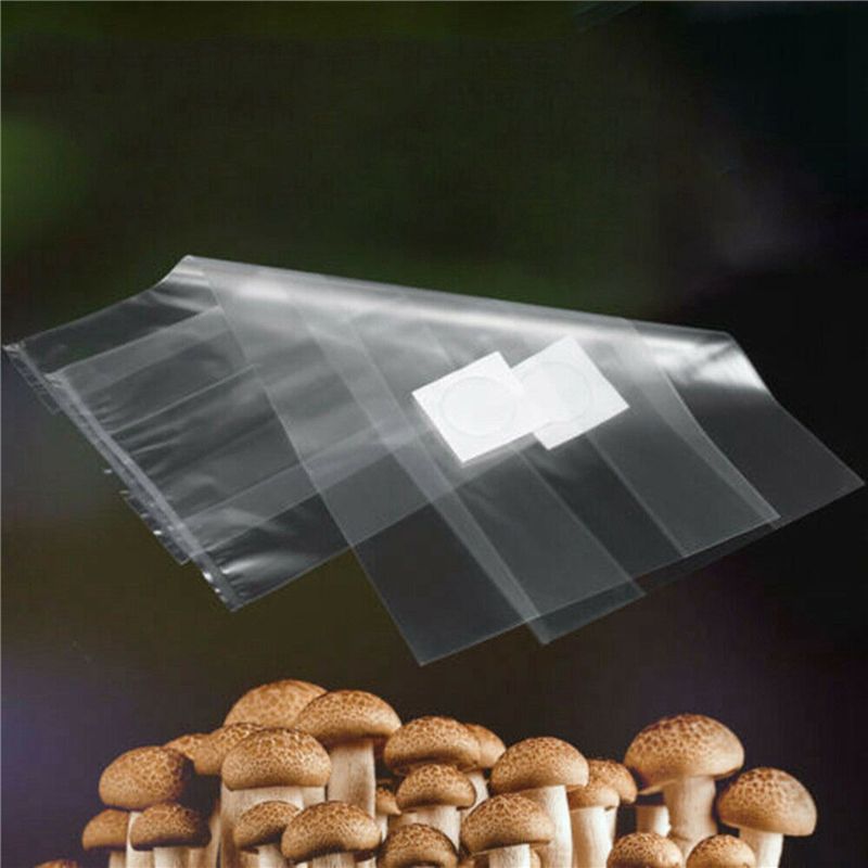 Y50A-250개 PVC 버섯 배양용 투명 가방 고온  - Mushroom Spawn Bag 리뷰 및 가격